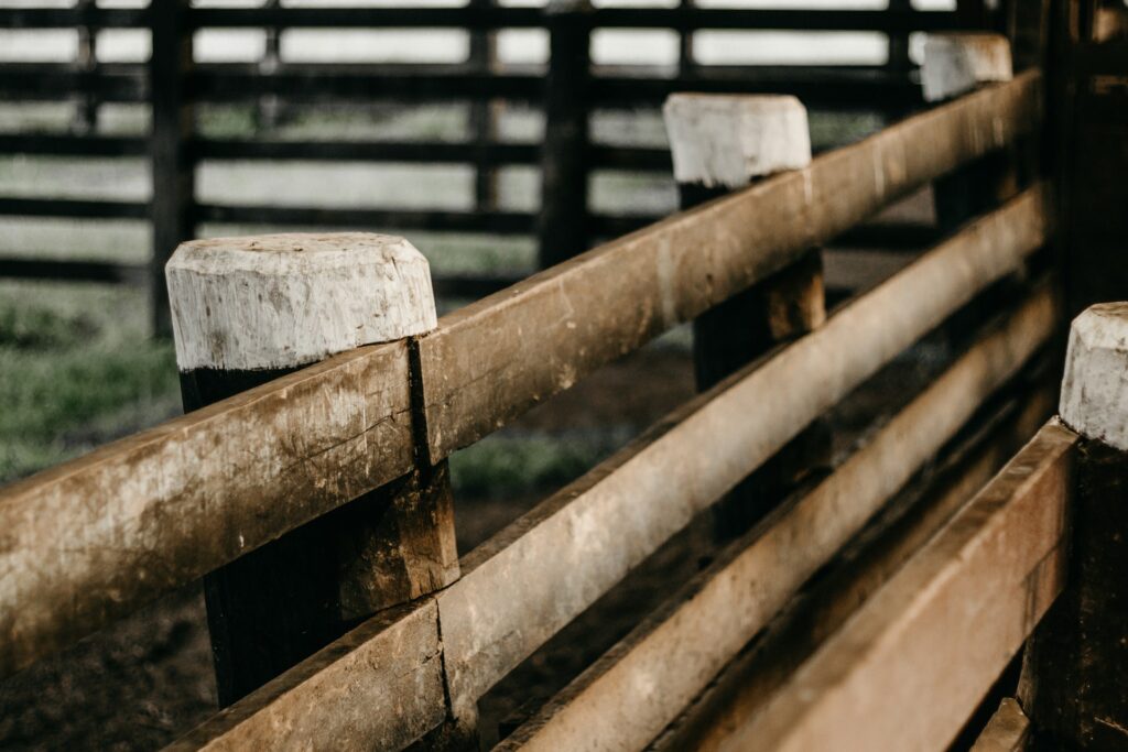 7 Common Data Analytics Problems - & How to Solve Them | Pecan AI